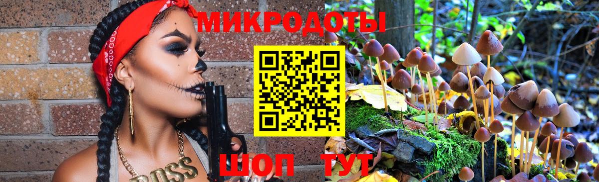 Псилоцибиновые грибы GOLDEN TEACHER  Псилоцибиновые грибы мухоморы  Назрань  Вход с VPN 