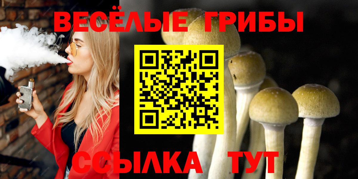 Галлюциногенные грибы ЛСД Назрань